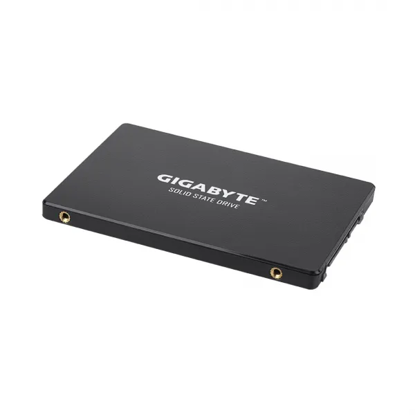 Твердотельный накопитель внутренний Gigabyte GSTFS31256GTND купить с доставкой