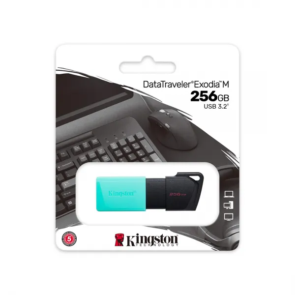 USB-накопитель Kingston DTXM/256GB 256GB Бирюзовый купить с доставкой