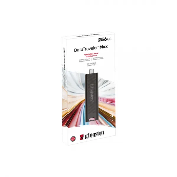 USB-накопитель Kingston DTMAX/256GB 256GB Черный купить с доставкой