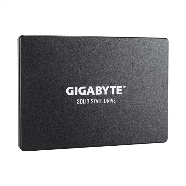 Твердотельный накопитель внутренний Gigabyte GP-GSTFS31100TNTD купить с доставкой