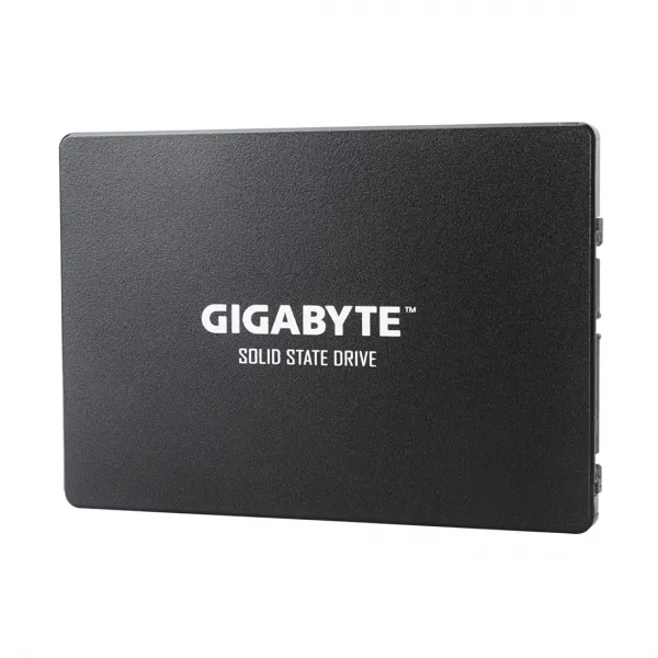 Твердотельный накопитель внутренний Gigabyte GP-GSTFS31100TNTD купить с доставкой